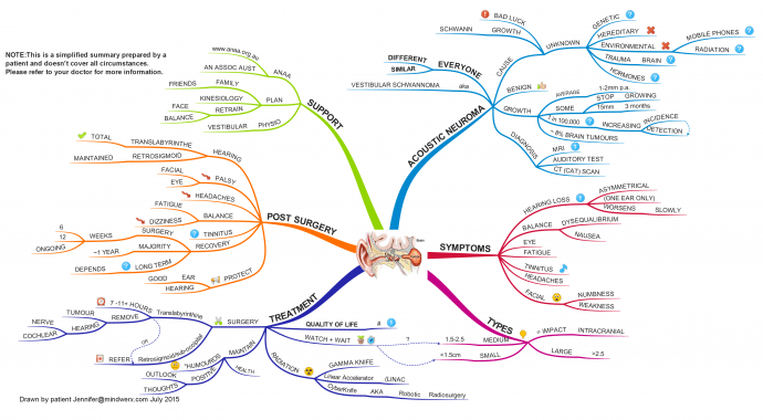 Concept Map Cranial Nerves