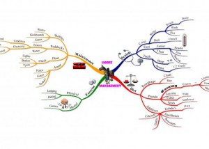 Horse Management mind map example Using Tony Buzan Mind Mapping Techniques