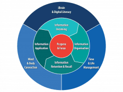 Managing_Information_Overload_Mindwerx_Model