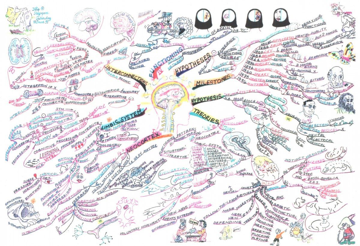 Mind Map The Brain