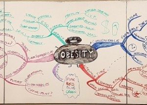 Obesity Mega Buzan Mind Map by MBA students, in a class on Creativity and Innovation