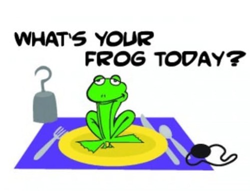For Successful Online Learning – Eat That Frog