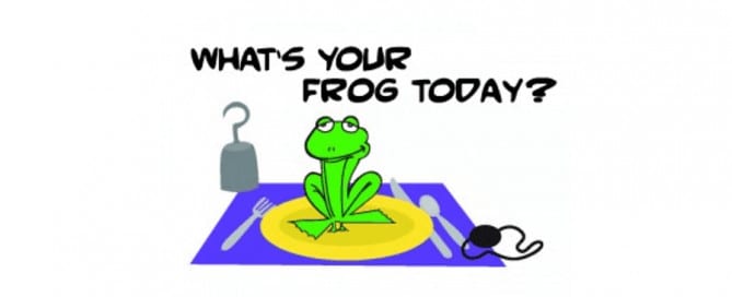 Eat that frog for successful online study