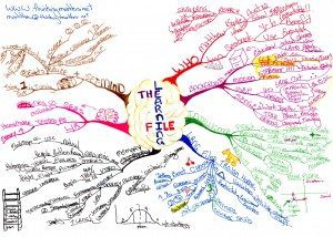 The Learning File Mind Map - Mind Map Examples - Tony Buzan Mind Mapping